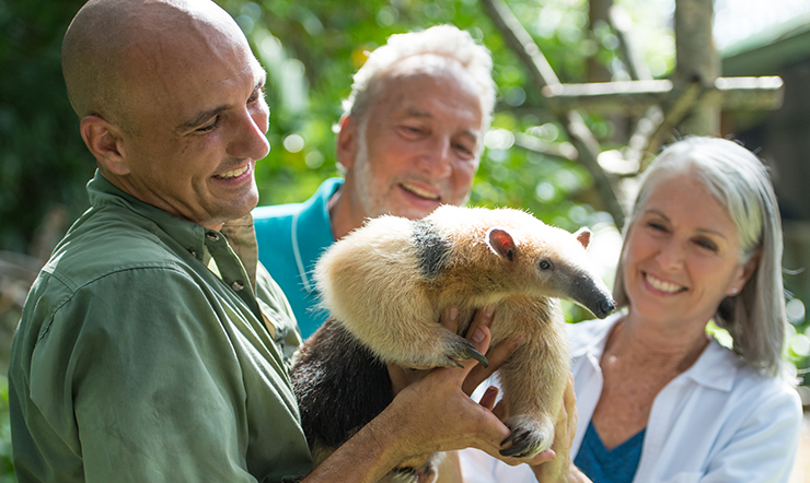 Connect with animals at Busch Gardens Tampa Bay