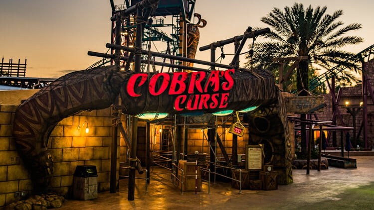 Ride Cobra's Curse at Busch Gardens Tampa Bay