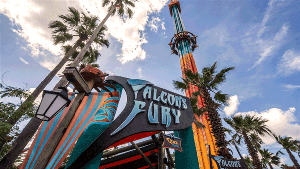 Ride Falcon's Fury at Busch Gardens Tampa Bay