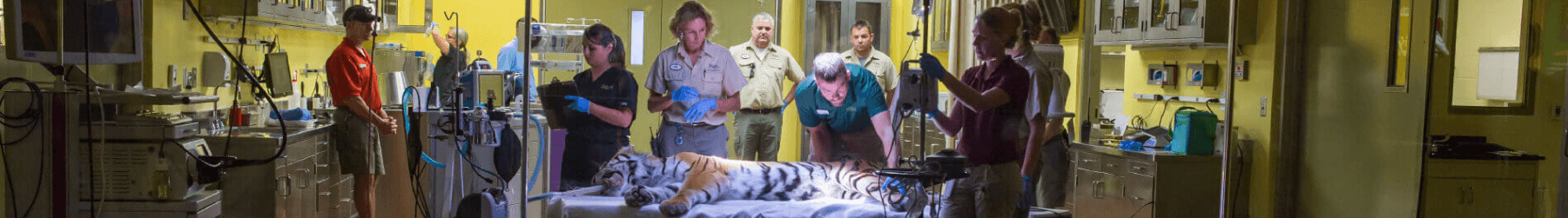 Animal Care Center at Busch Gardens Tampa Bay