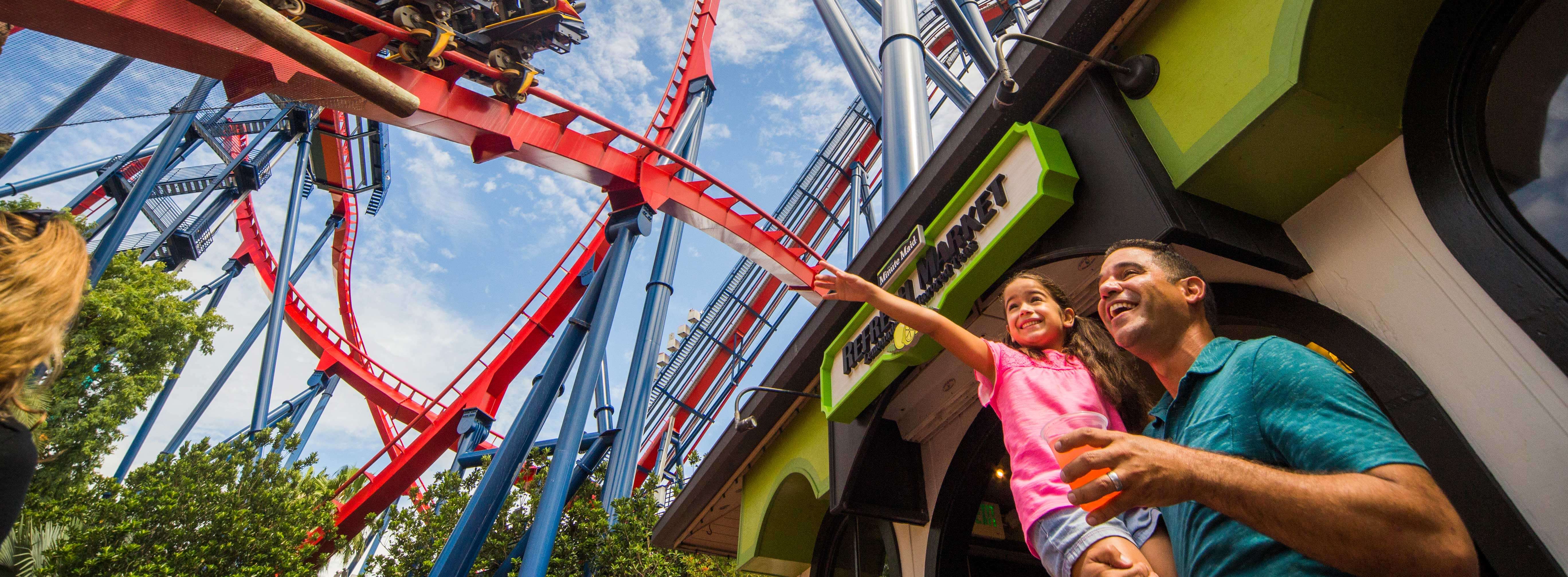 Experience Busch Gardens Tampa Bay