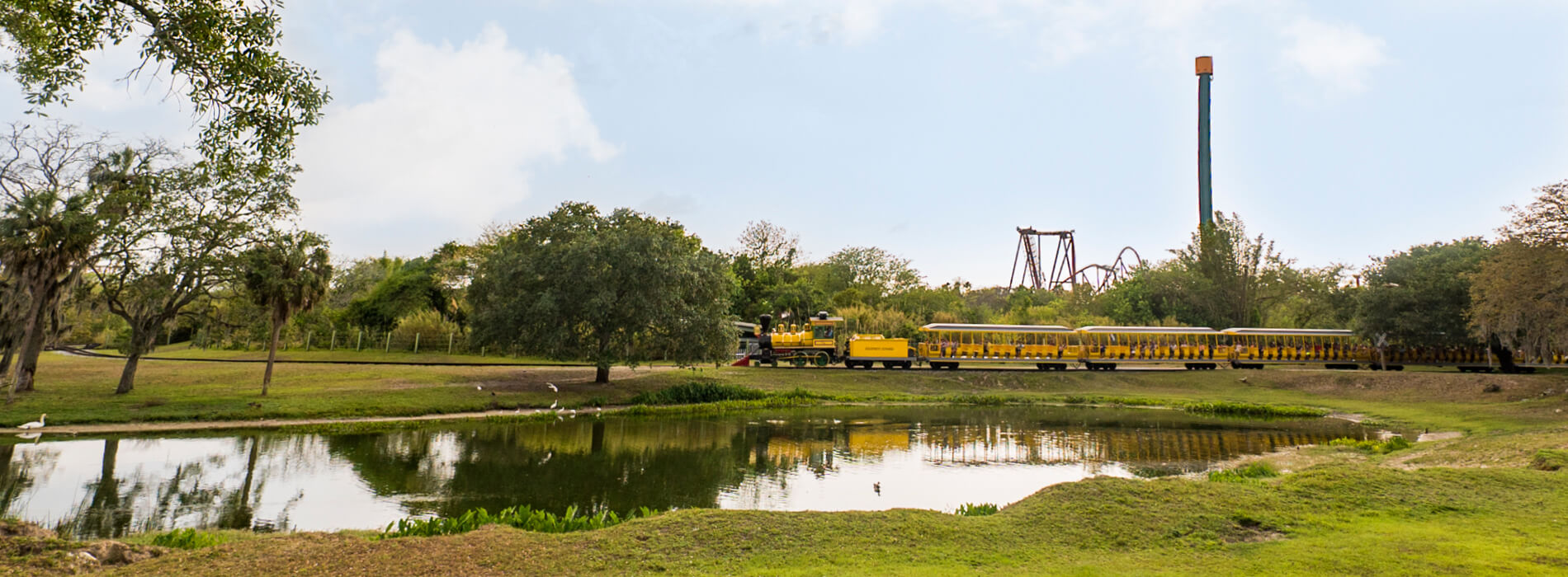 Ride the Serengeti Railway at Busch Gardens Tampa Bay
