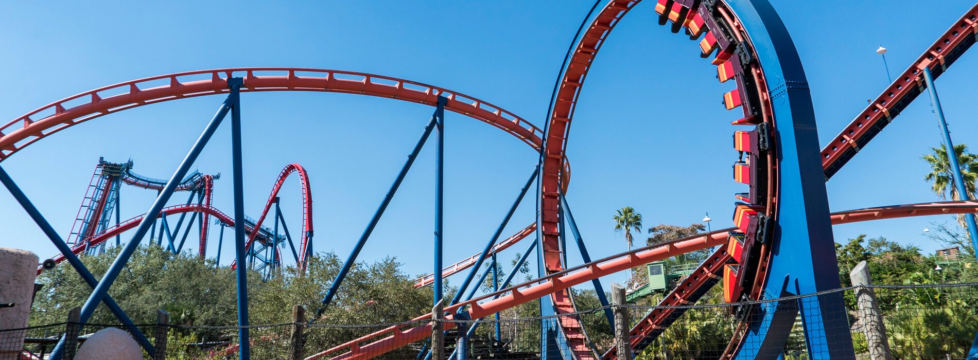 Scorpion steel roller coaster, a red ride at Busch Gardens Tampa Bay, located in Florida