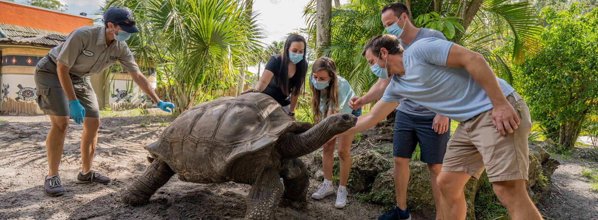 Aldabra Tour at Busch Gardens Tampa Bay
