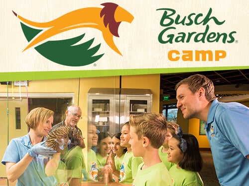 Adventure Apprentices Camp at Busch Gardens Tampa Bay