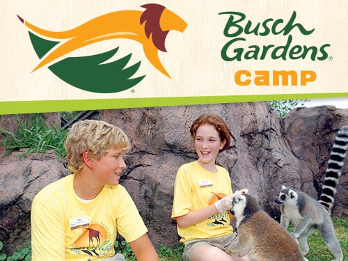 Adventure Champions Camp at Busch Gardens Tampa Bay