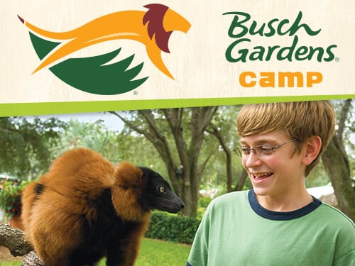 Junior Zoo Keepers Camp at Busch Gardens Tampa Bay