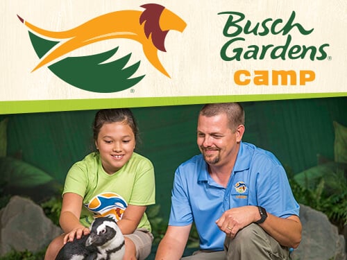 Trekkers Mini Camp at Busch Gardens Tampa Bay