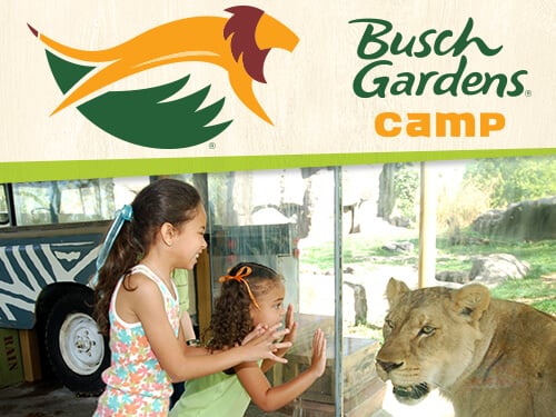 Busch Gardens Tampa Bay Day Camps