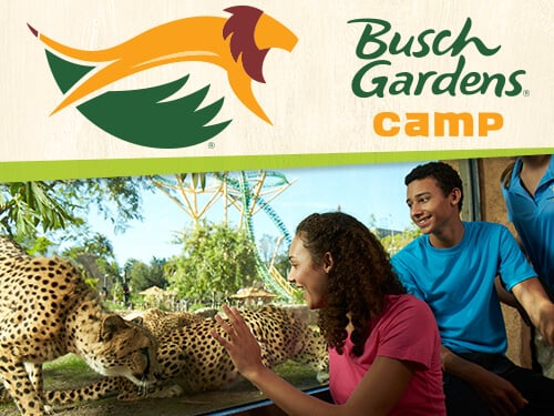 Zoo Careers Camp at Busch Gardens Tampa Bay