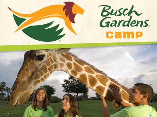 Zoo Ventures Camp at Busch Gardens Tampa Bay