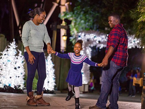 See Christmas Lights during Christmas Town at Busch Gardens Tampa Bay