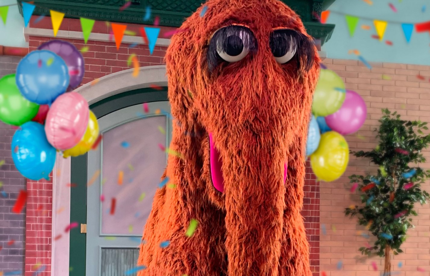 Sesame Street Ruff Sesame Street Birthday Celebration