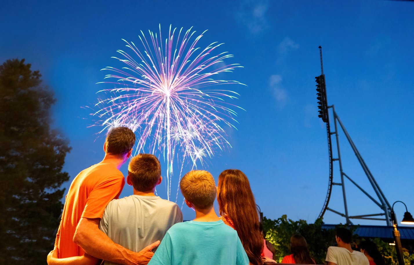 Family watching fireworks