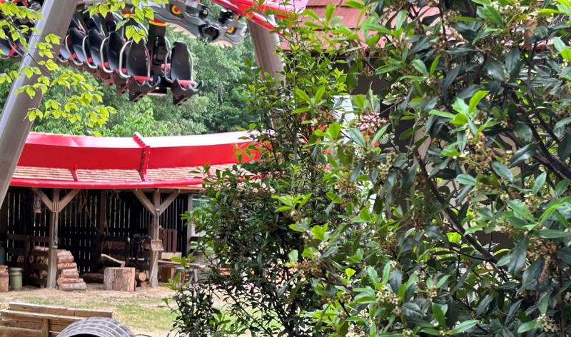 The Big Bad Wolf: The Wolf’s Revenge