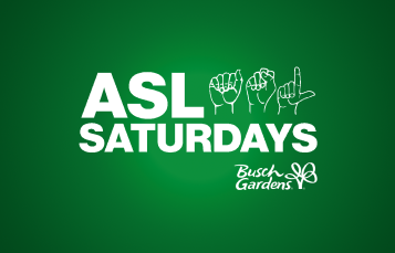 ASL Saturday