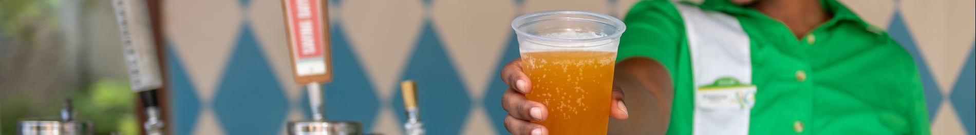 Bier Fest Brews & BBQ