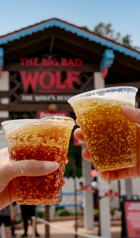 Two hands holding beer in front of an attraction entrance