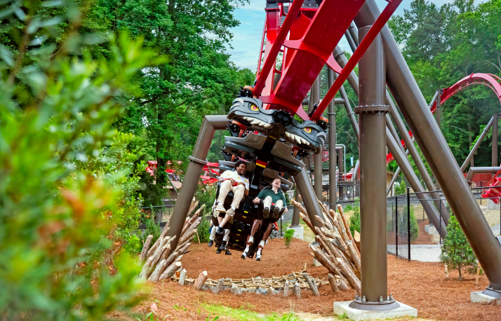 Inverted Roller Coaster