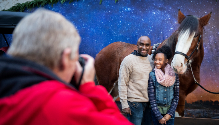 Couple meeting Clydesdales at Highland Stables at Busch Gardens Williamsburg