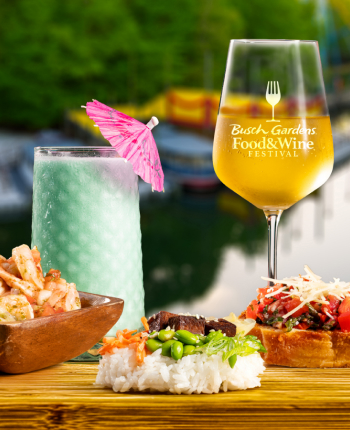 Food and Wine Offerings