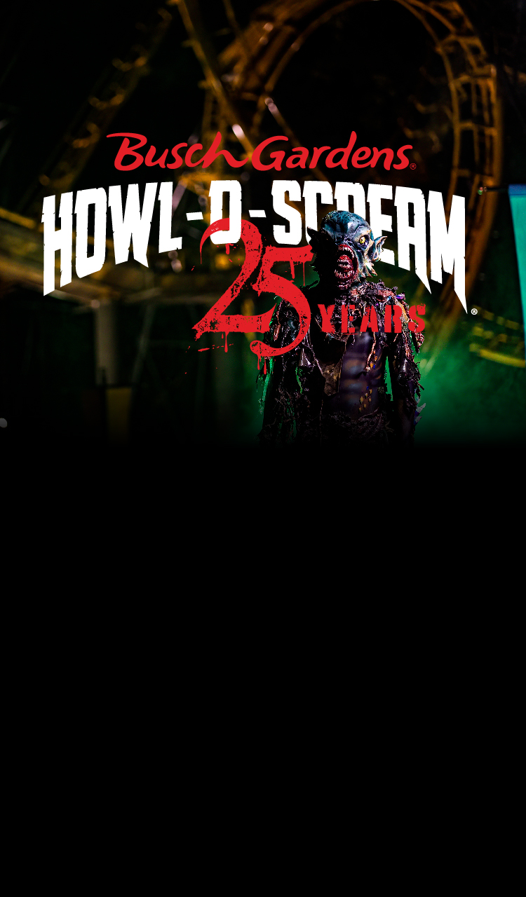 Williamsburg Va Events 2024 Schedule Tickets Norry Antonina