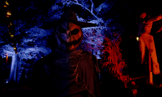 Stalker Street at Busch Gardens Williamsburg Howl-O-Scream