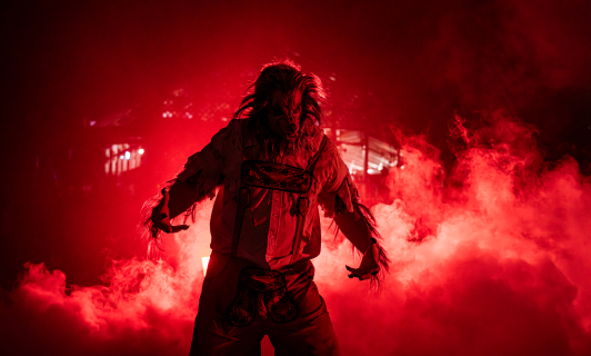 Wolf Halloween costume in the fog