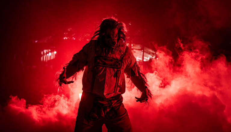 Wolf Halloween costume in the fog