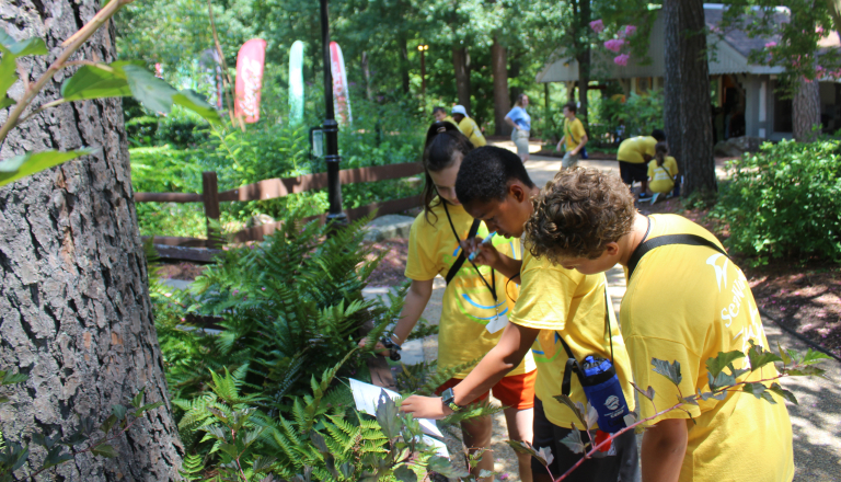 Children at Busch Gardens Williamsburg Summer Camp