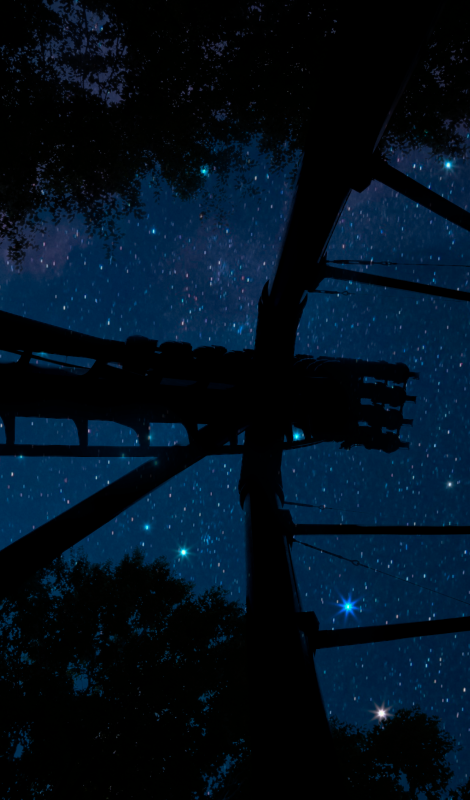 Coasters After Dark