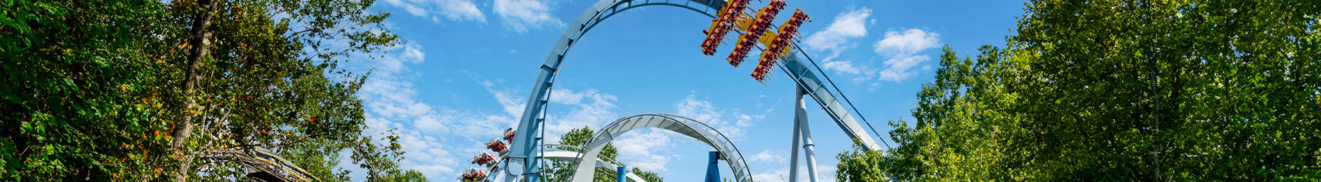 Griffon and Alpengiest at Busch Gardens Williamsburg.