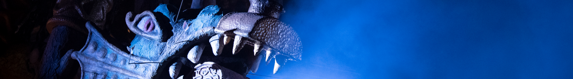 InvadR at Busch Gardens Williamsburg 