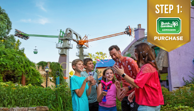 Family in front of theme park ride