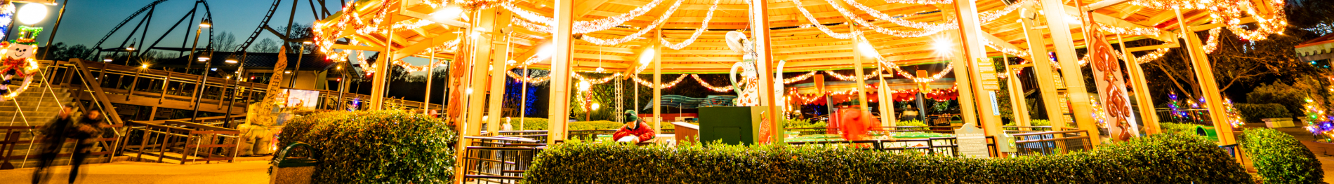 Spinning teacup ride lit up at night
