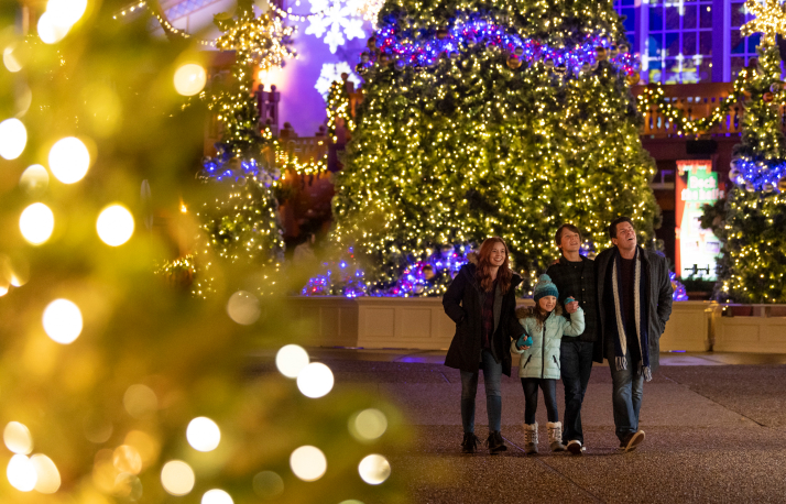 Family of three near Christmas Trees
