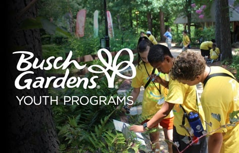 Guests enjoying a Busch Gardens Williamsburg Camp