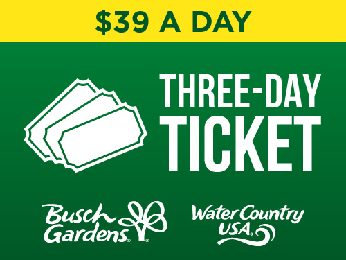 Busch Gardens Williamsburg & Water Country USA Three-Day Ticket