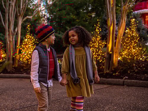 Busch Gardens Williamsburg Winter Wonders Mini-Camp
