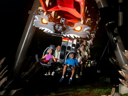Busch Gardens Williamsburg - Big Bad Wolf: The Wolf's Revenge