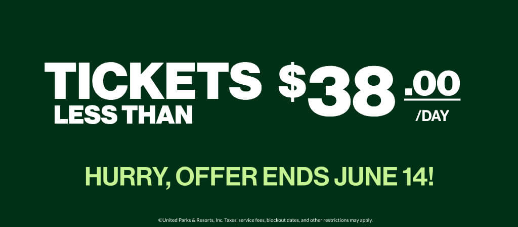 Tickets less than $38/day