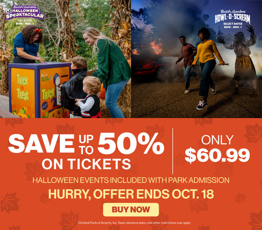 Save up to 50% on Tickets Only $60.99