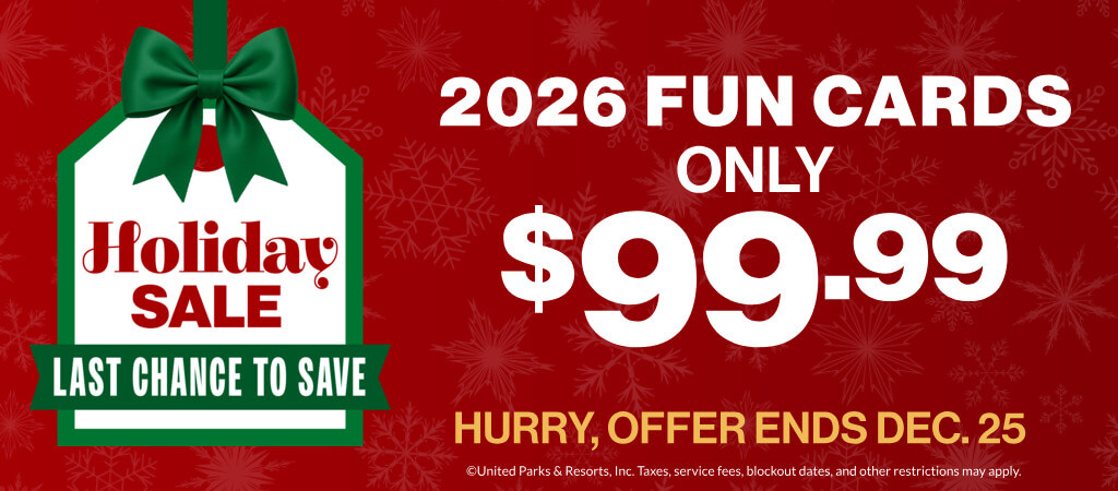 Holiday Sale: 2026 Fun Cards only $99.99