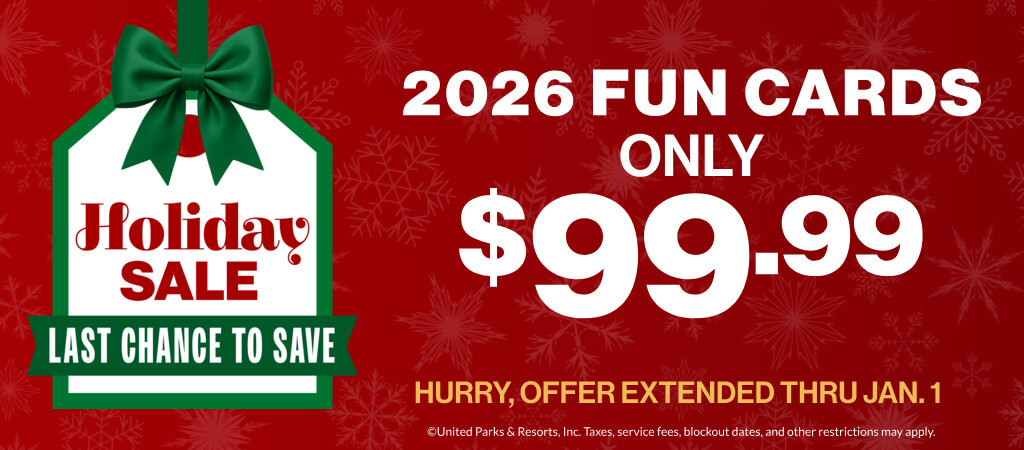 Holiday Sale: 2026 Fun Cards only $99.99