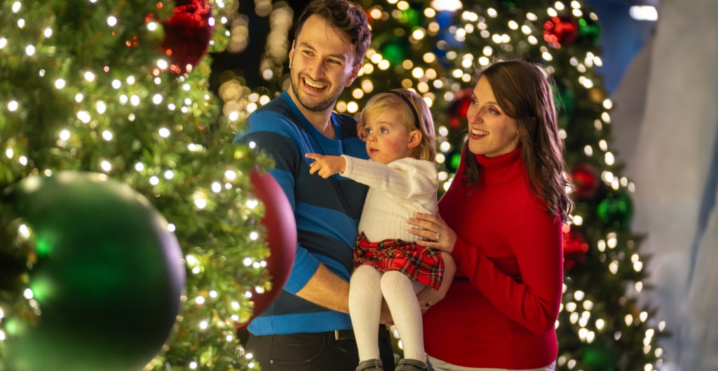 Funny Santa Hoodie