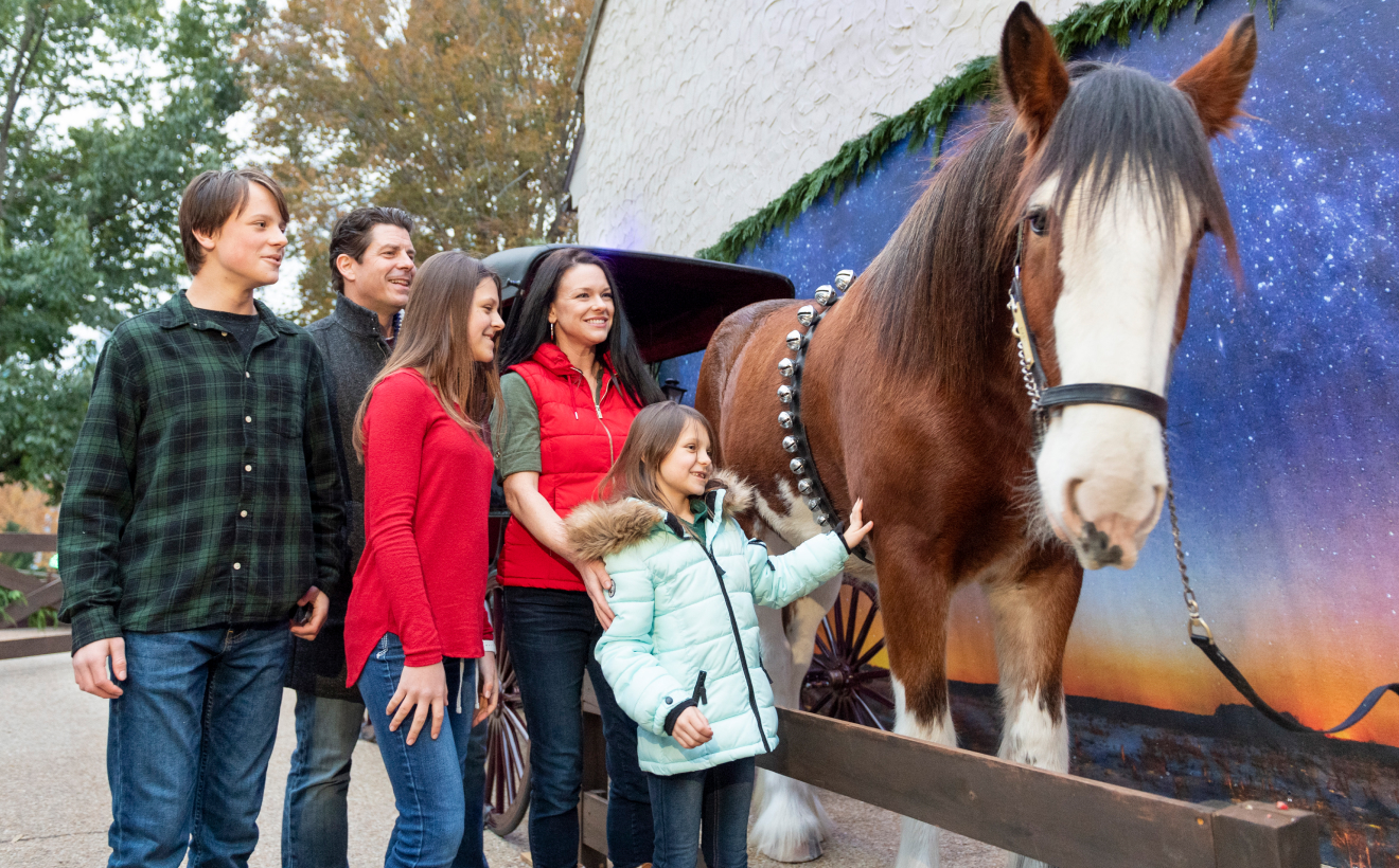 Family enjoying a photo opportunity with a Clydesdale horse at Busch Gardens Williamsburg during Christmas Town. 