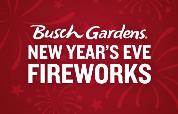 New Year's Eve Fireworks at Busch Gardens