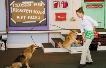 11 theme park experiences you won't want to miss at Busch Gardens Williamsburg