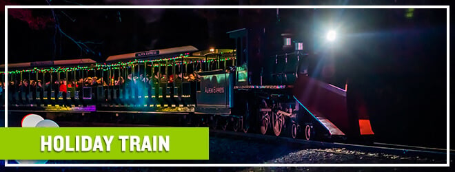 Lighted holiday train experience at Busch Gardens Christmas Town