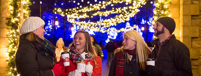 Lights on Ireland bridge at Busch Gardens Christmas Town